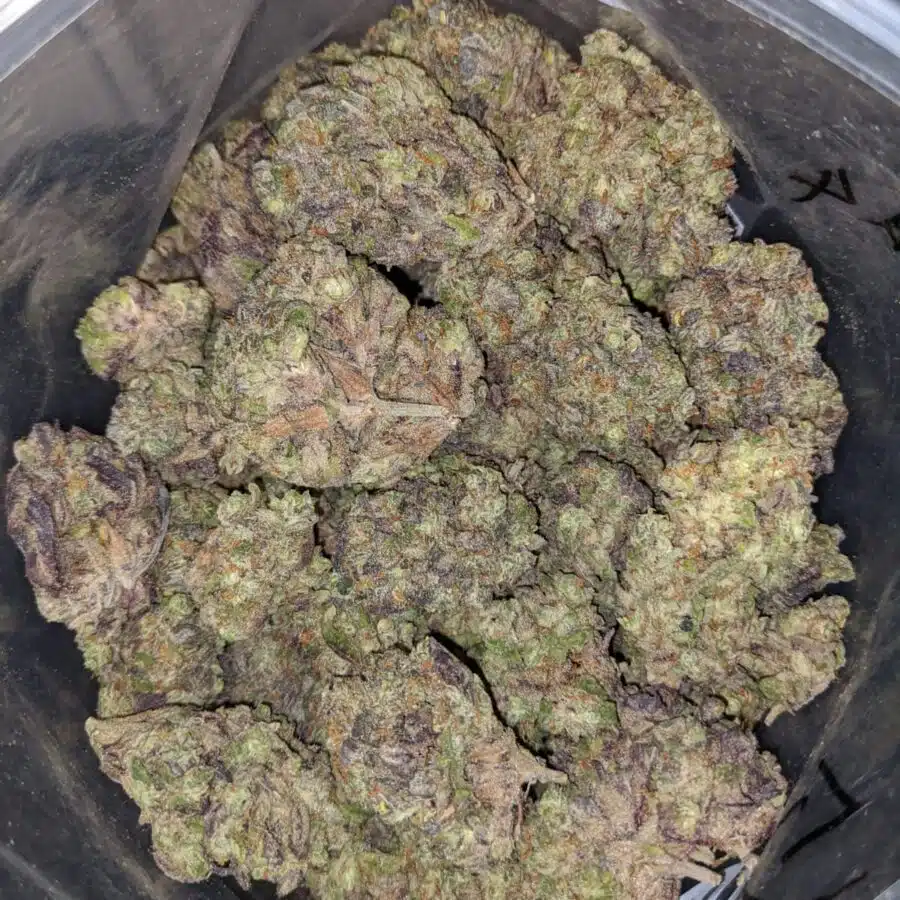 mystic punch deal of the day 3 I Mystic Punch - *Deal of the Day*
