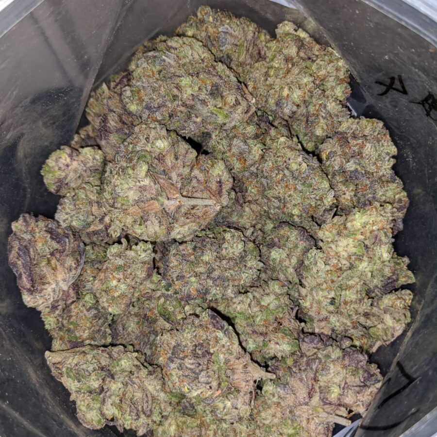 mystic punch deal of the day 4 I Mystic Punch - *Deal of the Day*