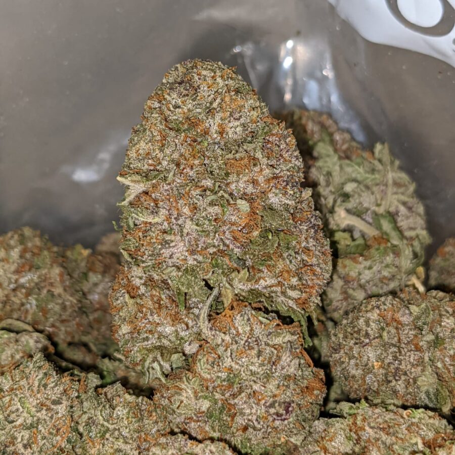 Purple Crush AAA - Image 6