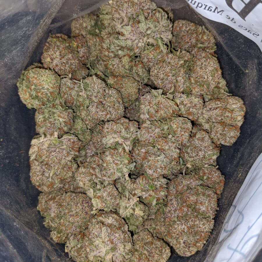 Purple Crush AAA - Image 4