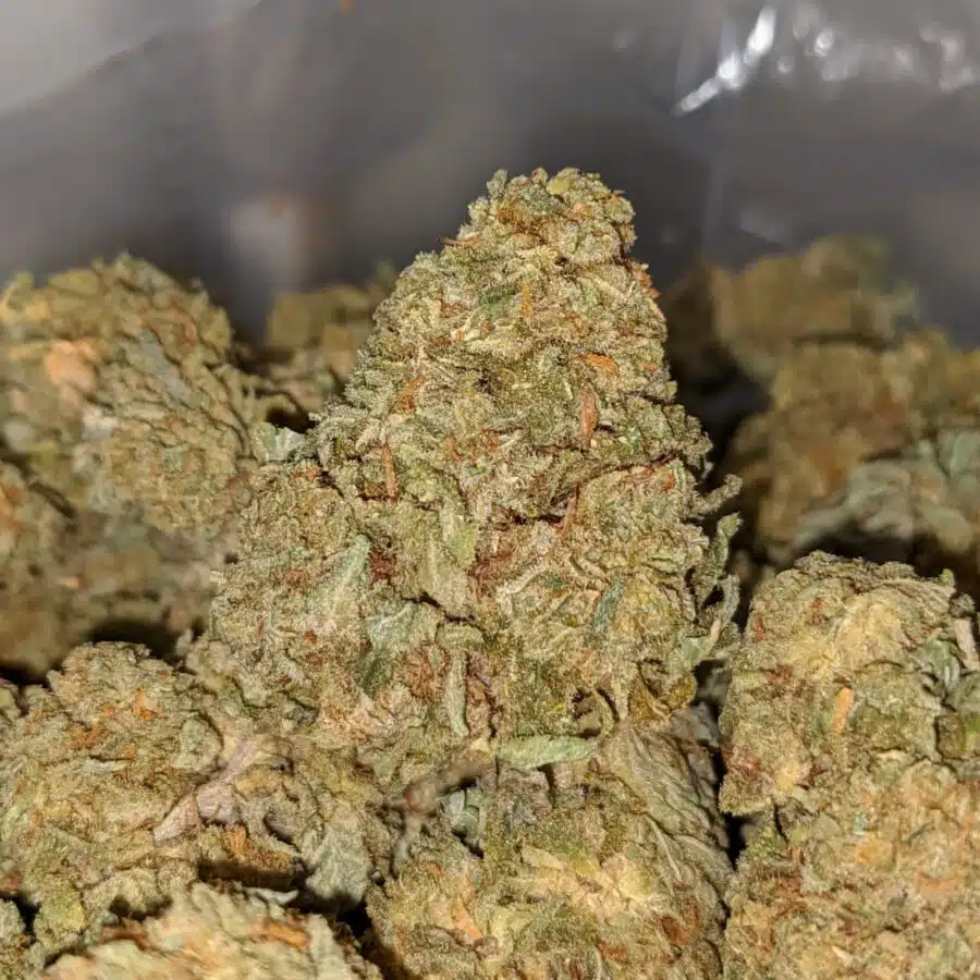 sour kosher aa 1 I Sour Kosher AA+