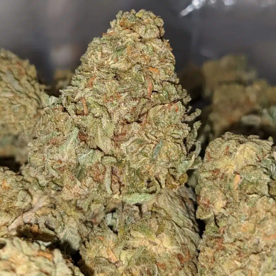 sour kosher aa 2 I Sour Kosher AA+
