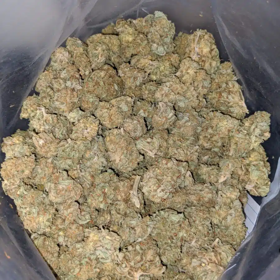 sour kosher aa 3 I Sour Kosher AA+
