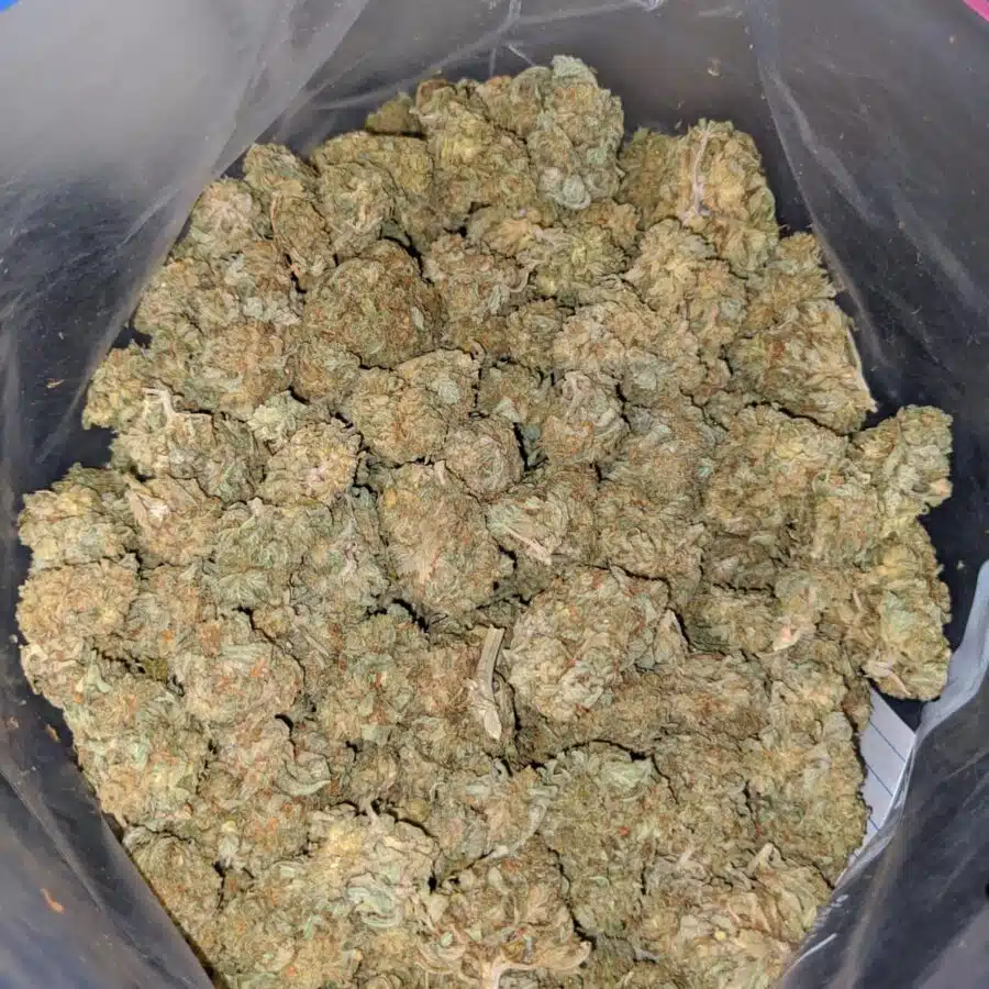 sour kosher aa 4 I Sour Kosher AA+