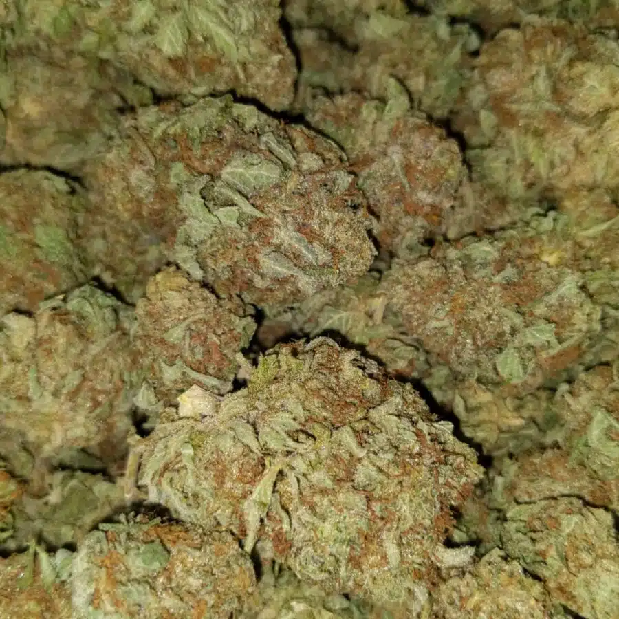 Cheap White widow1 I Cheap White Widow