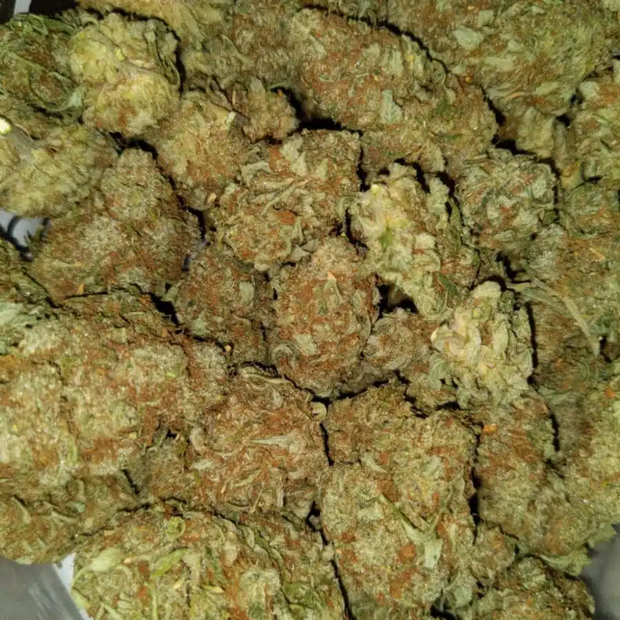 Cheap lemon thai1 I $99 Oz - Lemon Thai