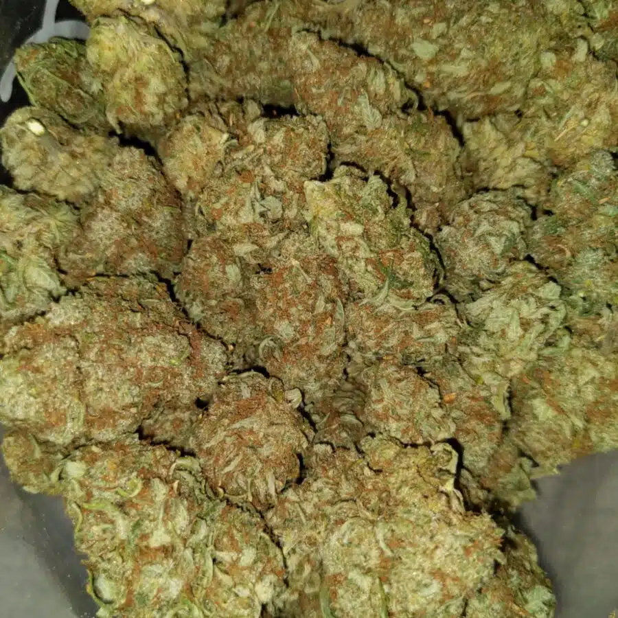 Cheap lemon thai2 I $99 Oz - Lemon Thai