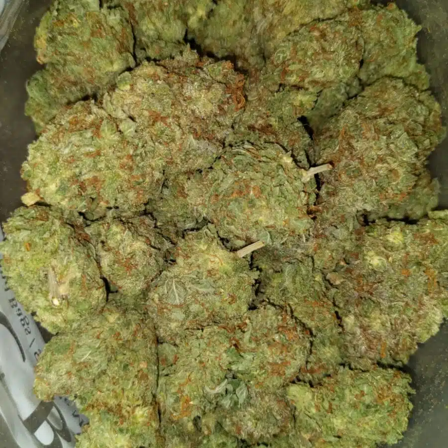 Shockwave1 I $109 Oz - Shockwave