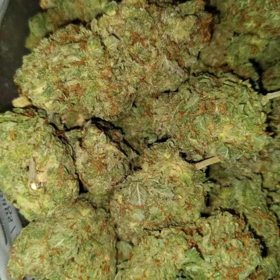 Shockwave2 I $109 Oz - Shockwave