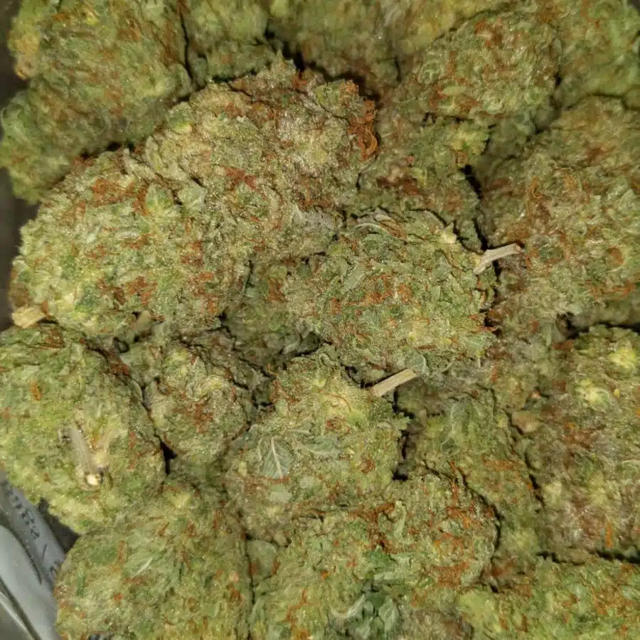 Shockwave3 I $109 Oz - Shockwave