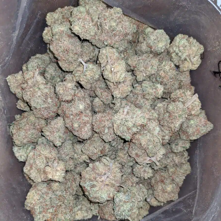 Sour lemon candy 1 I Sour Lemon Candy