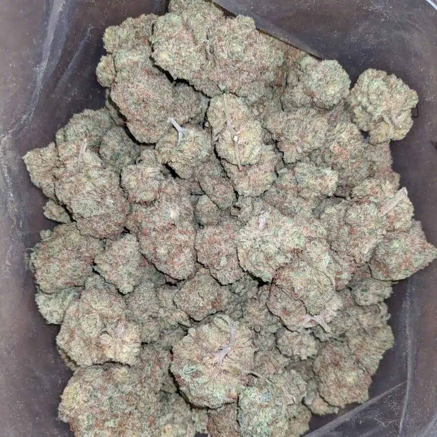 Sour lemon candy 2 I Sour Lemon Candy