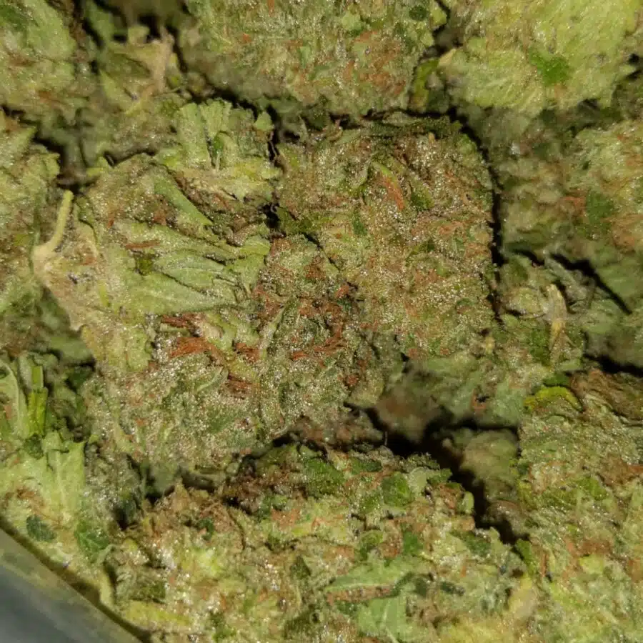 strawberry jerry 2 I $99 Oz - Strawberry Jerry