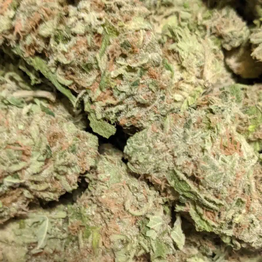 strawberry jerry 3 I $99 Oz - Strawberry Jerry