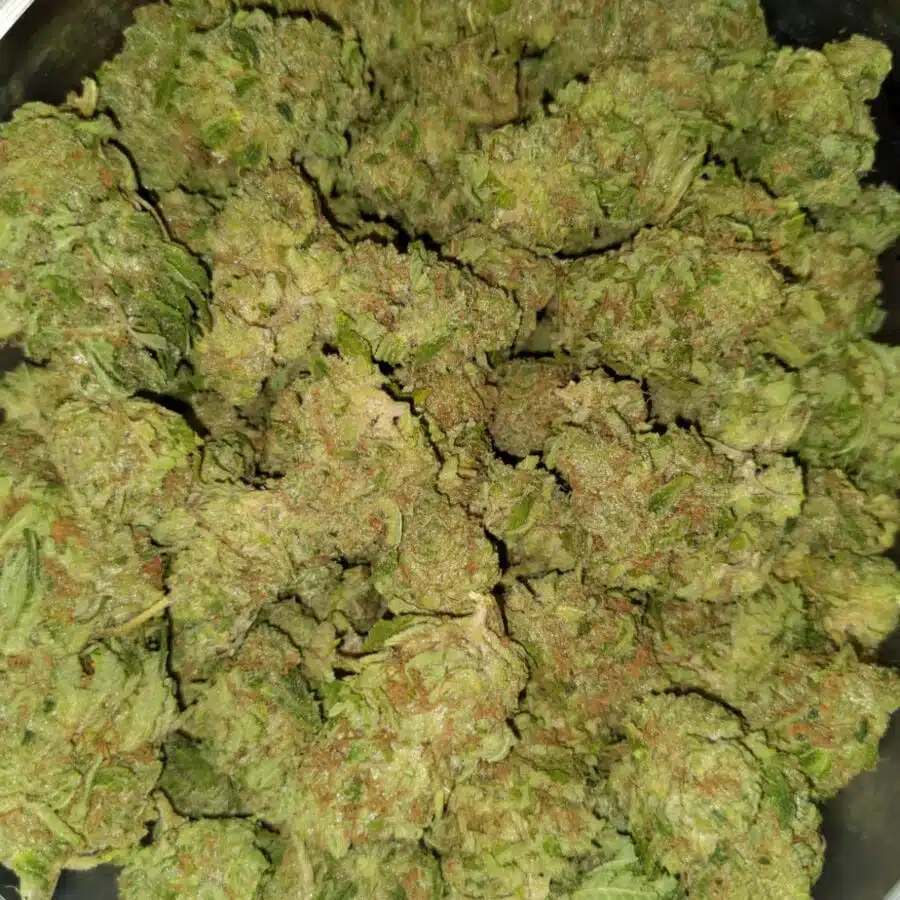 strawberry jerry 4 I $99 Oz - Strawberry Jerry