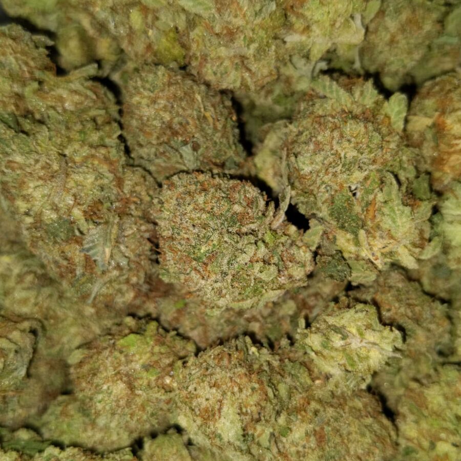 Blue heron2 I $69 Oz - Blue Heron