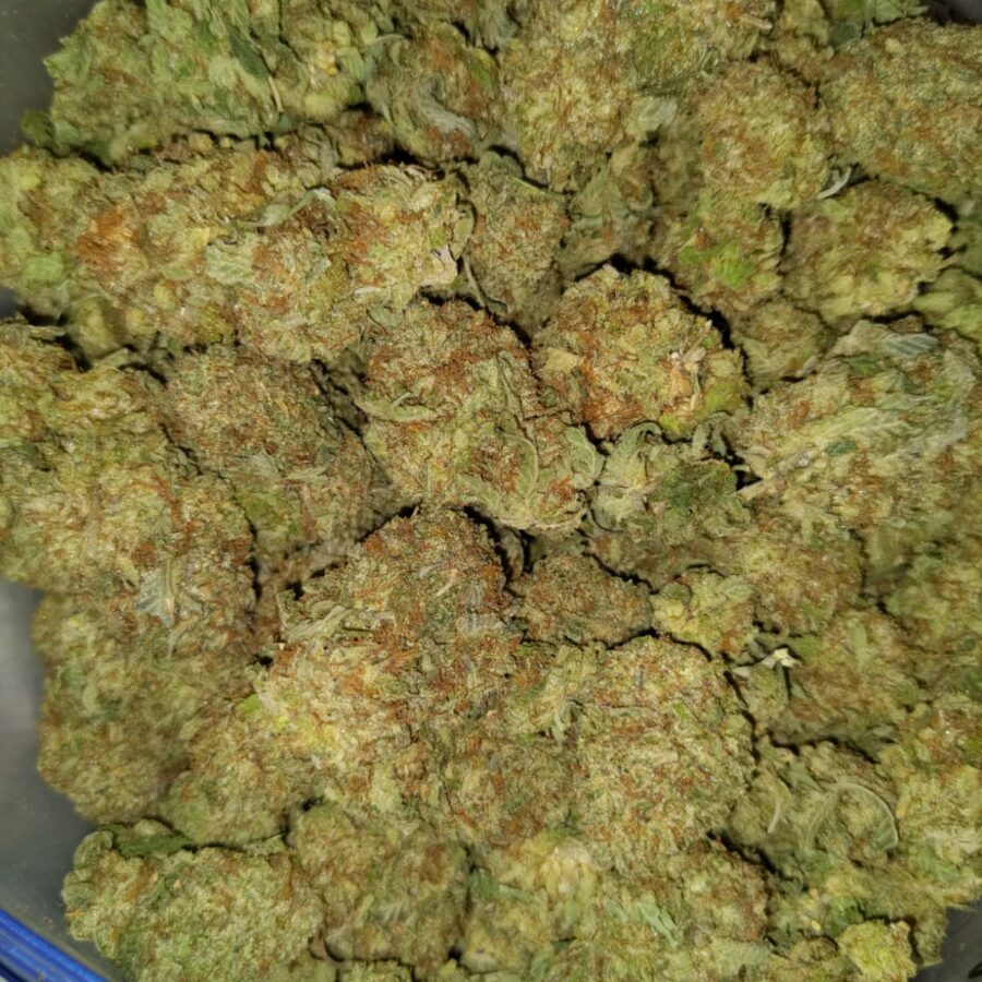 Blue heron3 I $69 Oz - Blue Heron