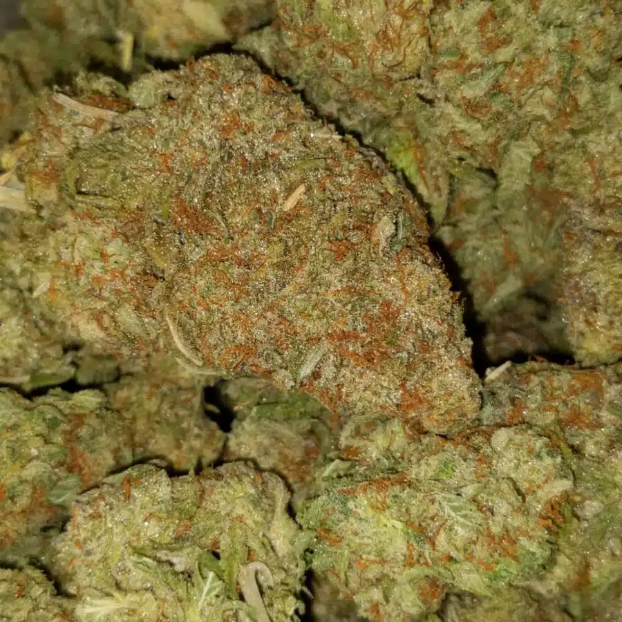 Bubba dosi1 I $99 Oz - Purple Mamba