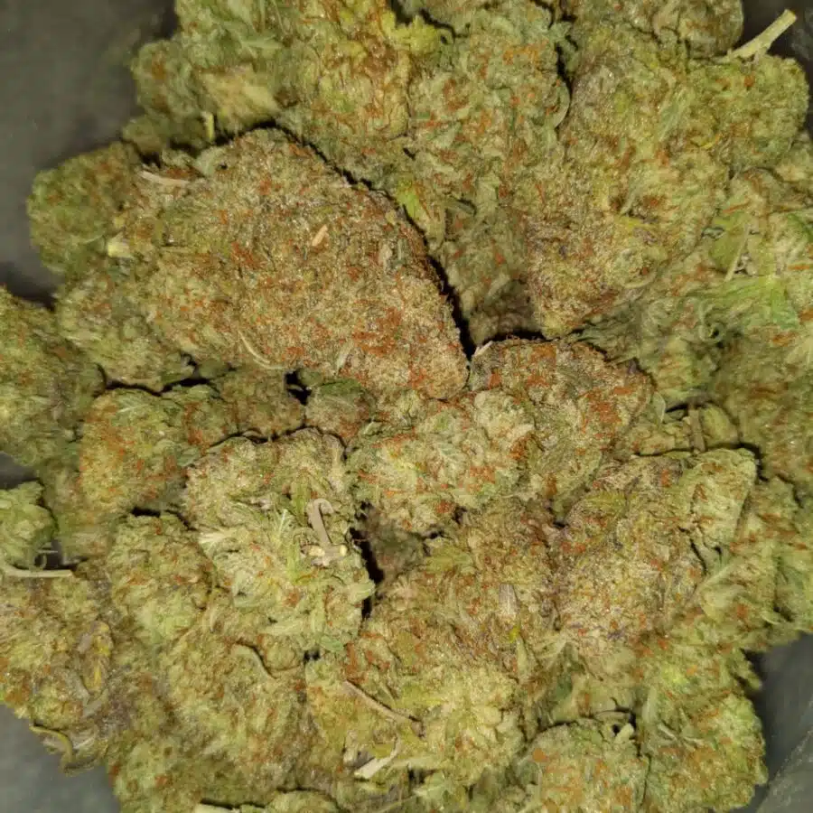 Bubba dosi2 I $99 Oz - Purple Mamba