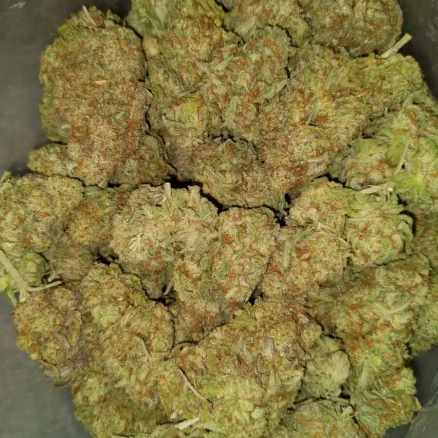 Bubba dosi3 I $99 Oz - Purple Mamba