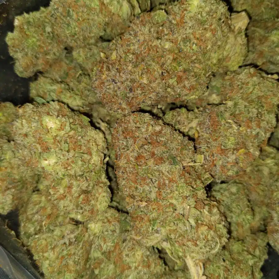 Grape ape I $109 Oz - Grape Ape