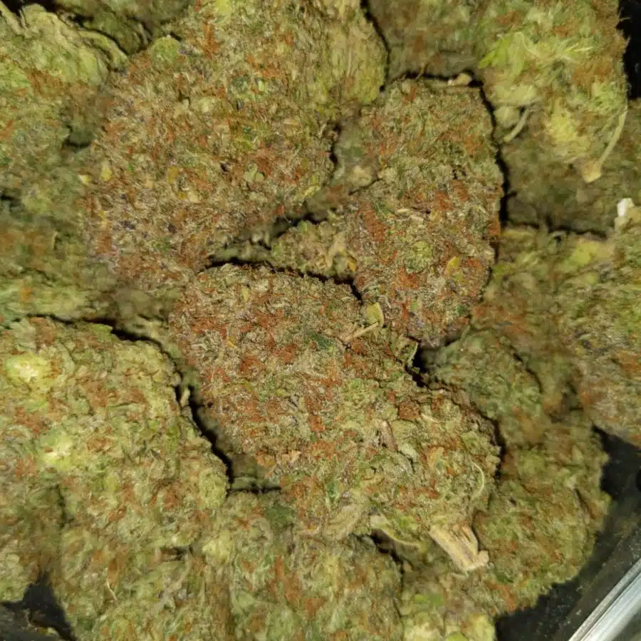 Grape ape2 I $109 Oz - Grape Ape