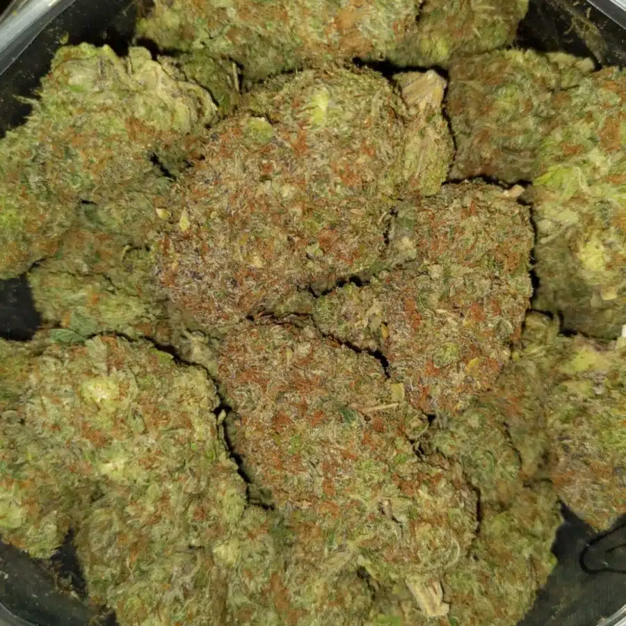 Grape ape3 I $109 Oz - Grape Ape