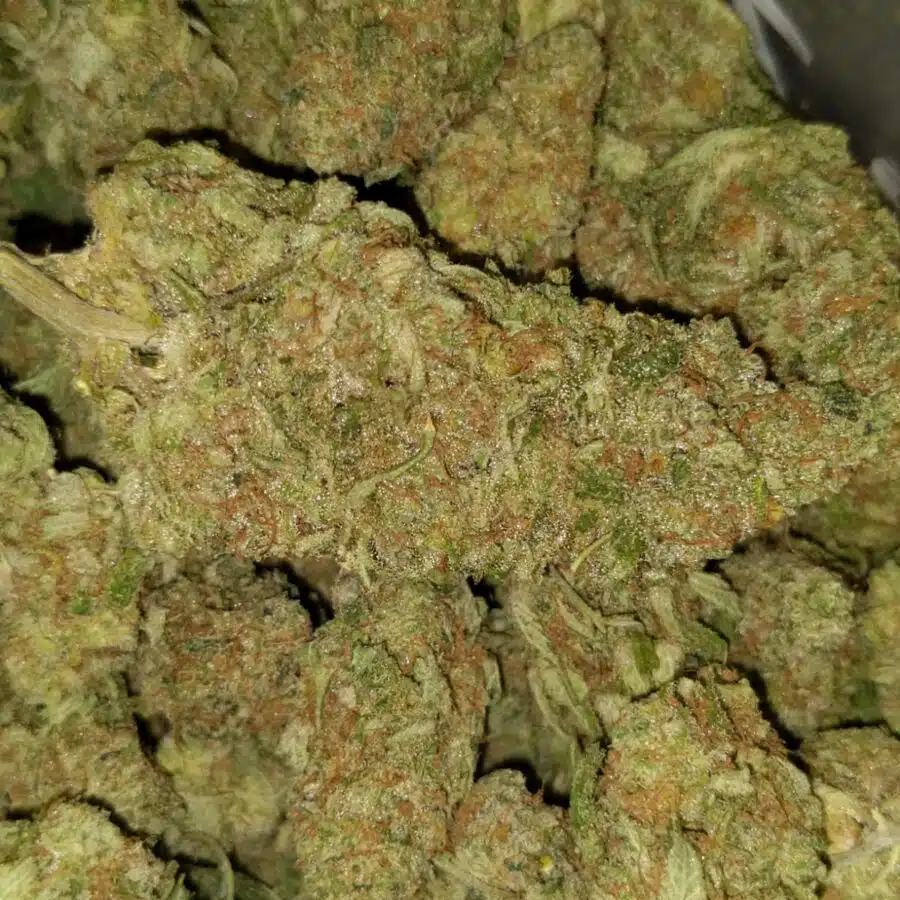 Grape cookies1 I $99 Oz - Purple Grape Cookies