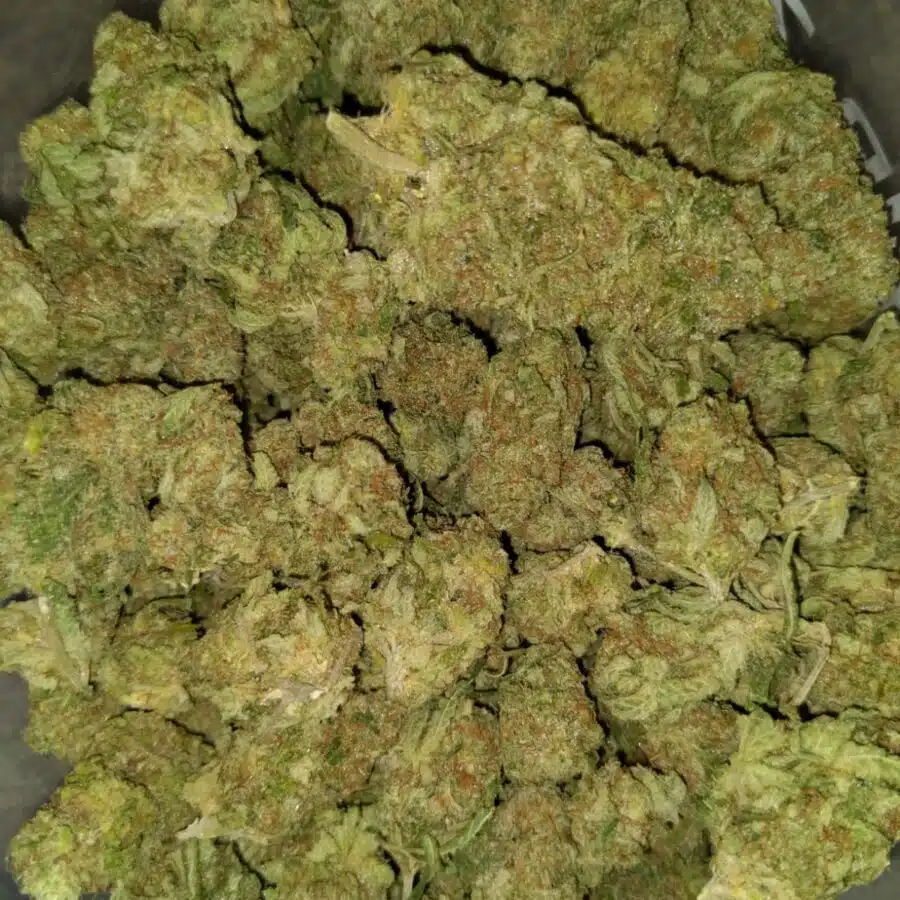 Grape cookies2 I $99 Oz - Purple Grape Cookies