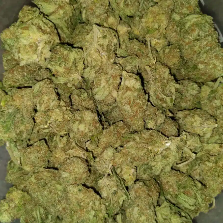 Alternative view of $99 Oz - Purple Grape Cookies