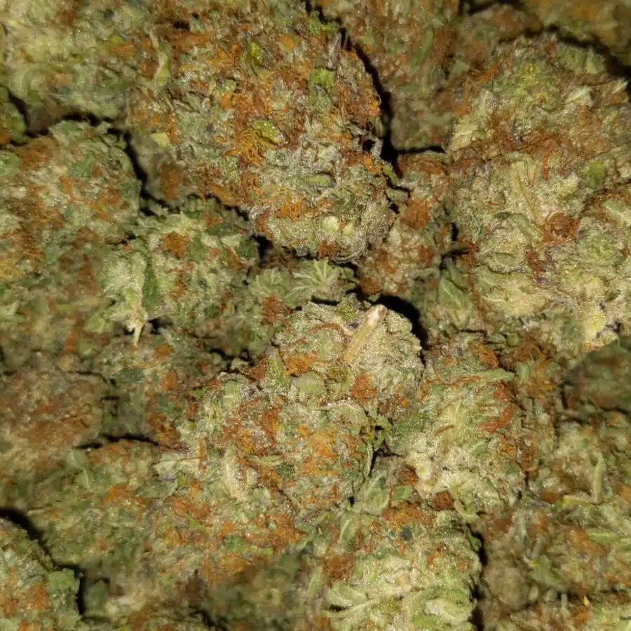 Green crack1 I $99 Oz - Green Crack