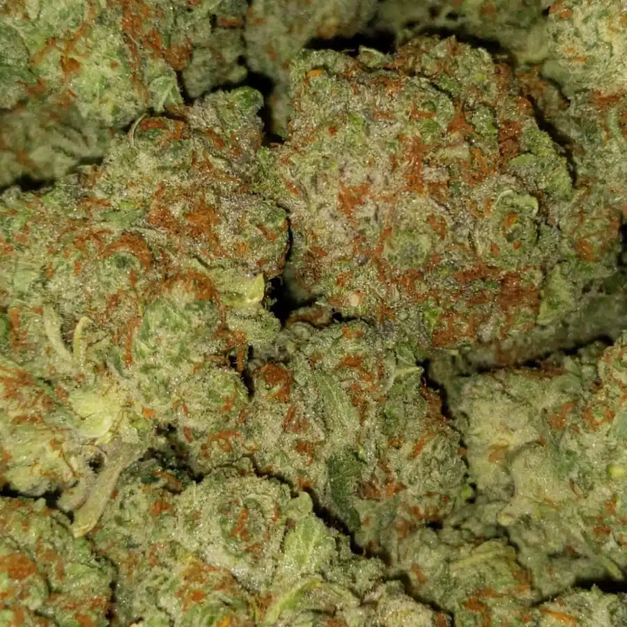 Kings kusg2 I $89 Oz - Kings Kush