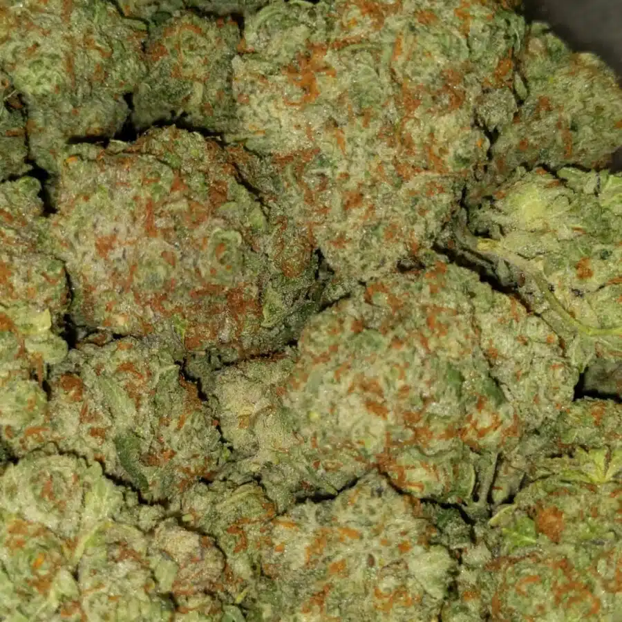 Kings kusg4 I $89 Oz - Kings Kush