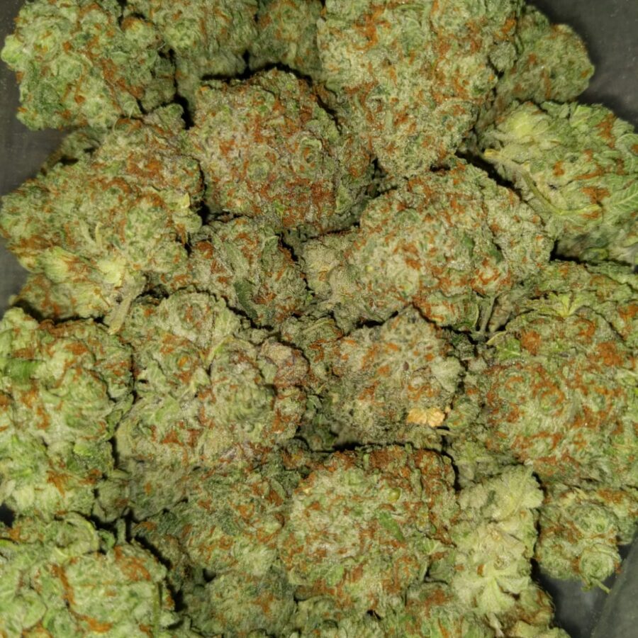 Kings kusg5 I $89 Oz - Kings Kush