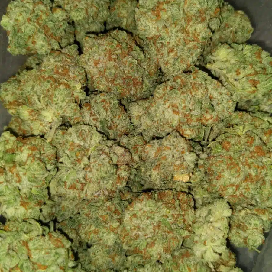 Kings kusg5 I $89 Oz - Kings Kush