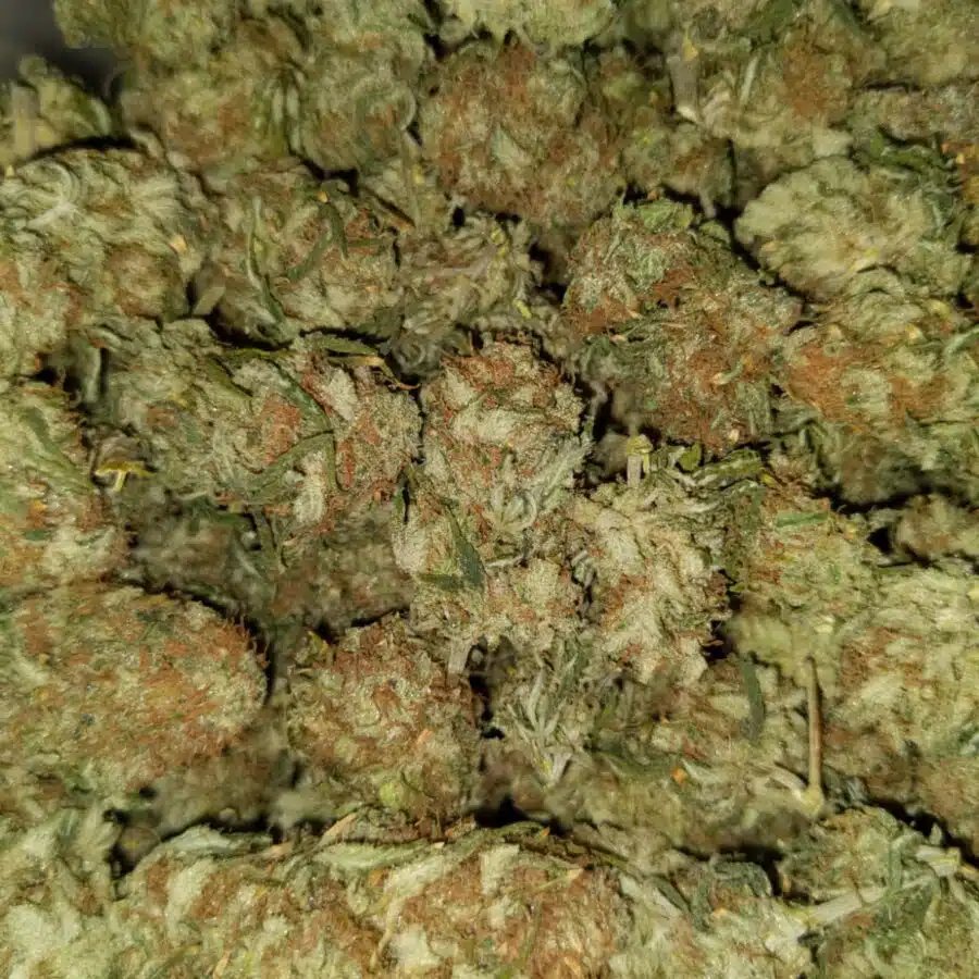 Lemon thai aa1 I $99 Oz - Lemon Thai