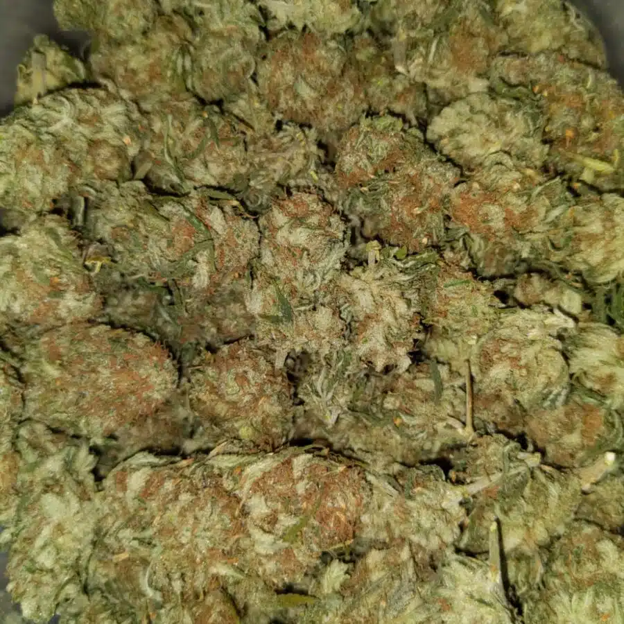 Lemon thai aa2 I $99 Oz - Lemon Thai