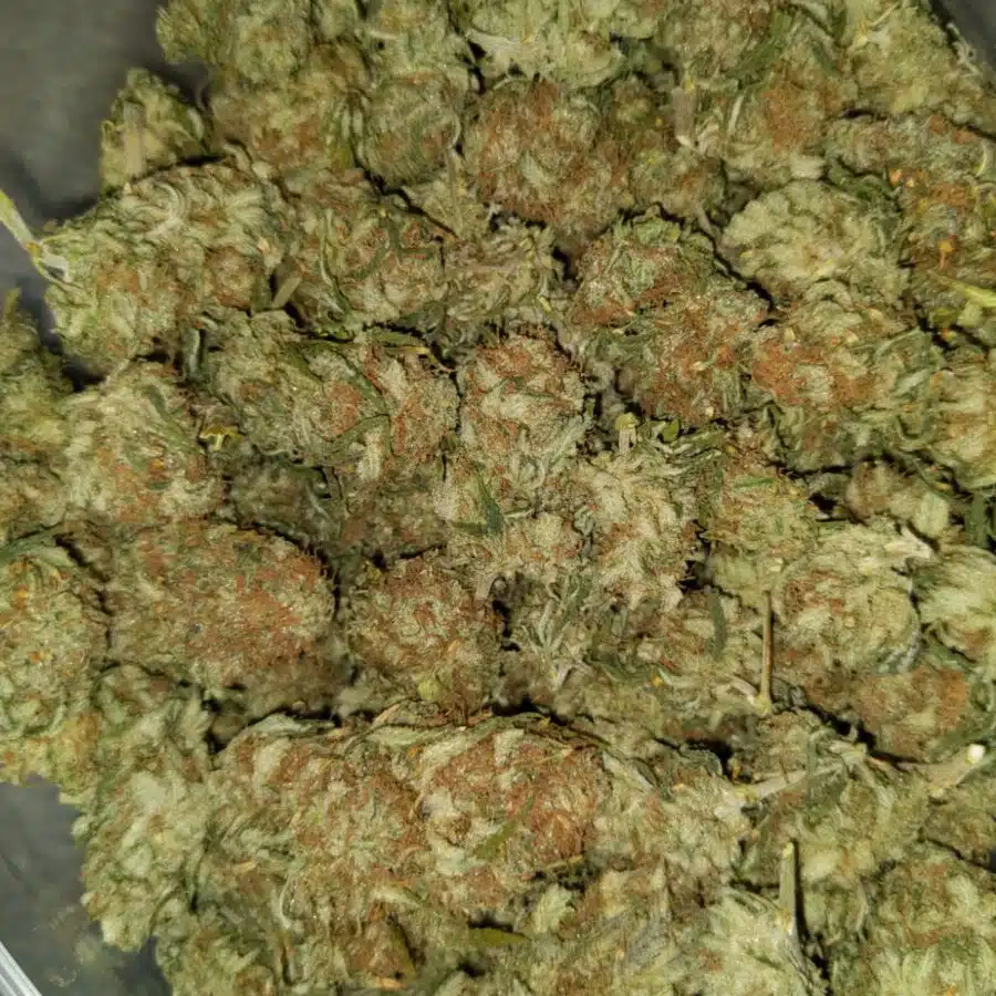 Lemon thai aa3 I $99 Oz - Lemon Thai