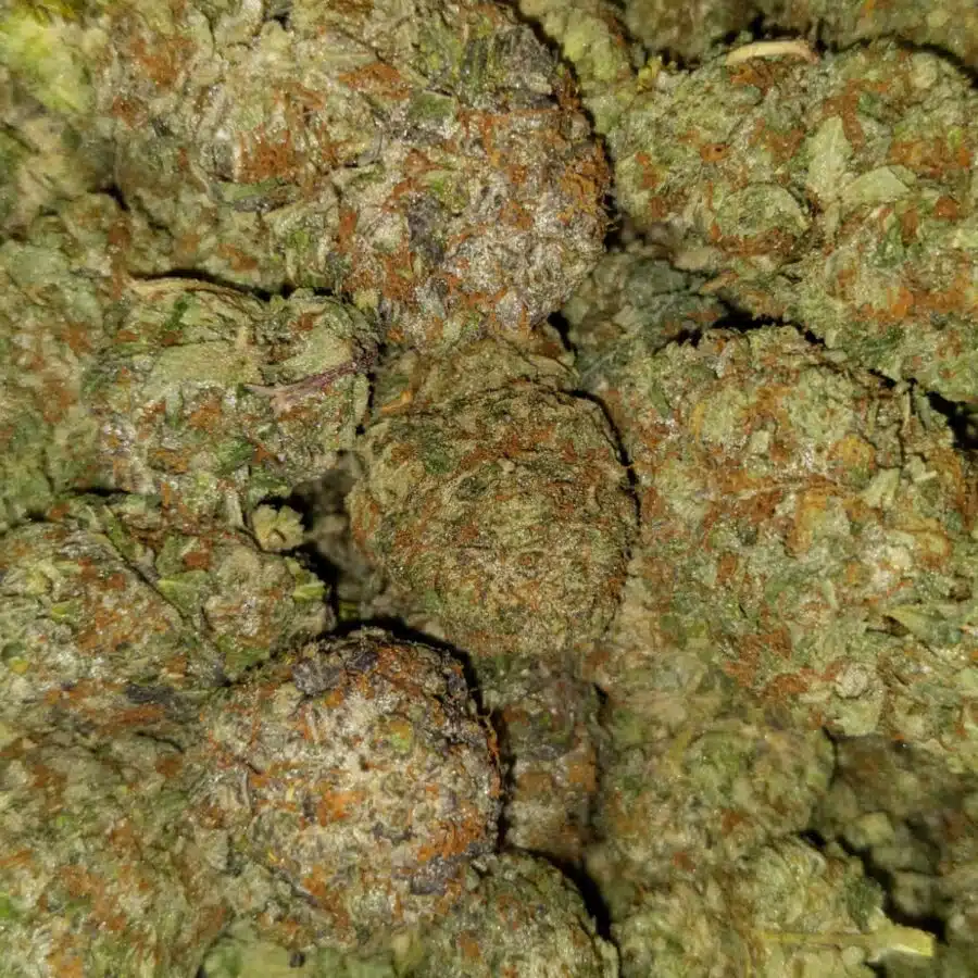 Mku I $109 Oz - MK Ultra