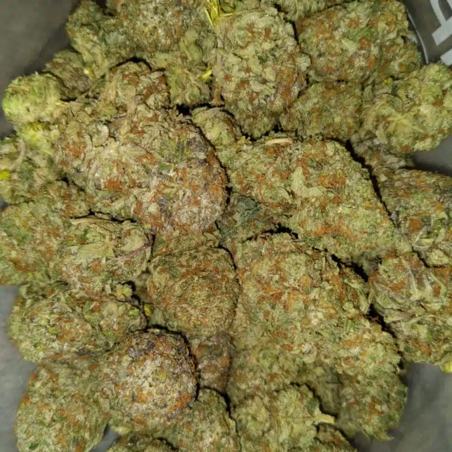 Mku2 I $109 Oz - MK Ultra