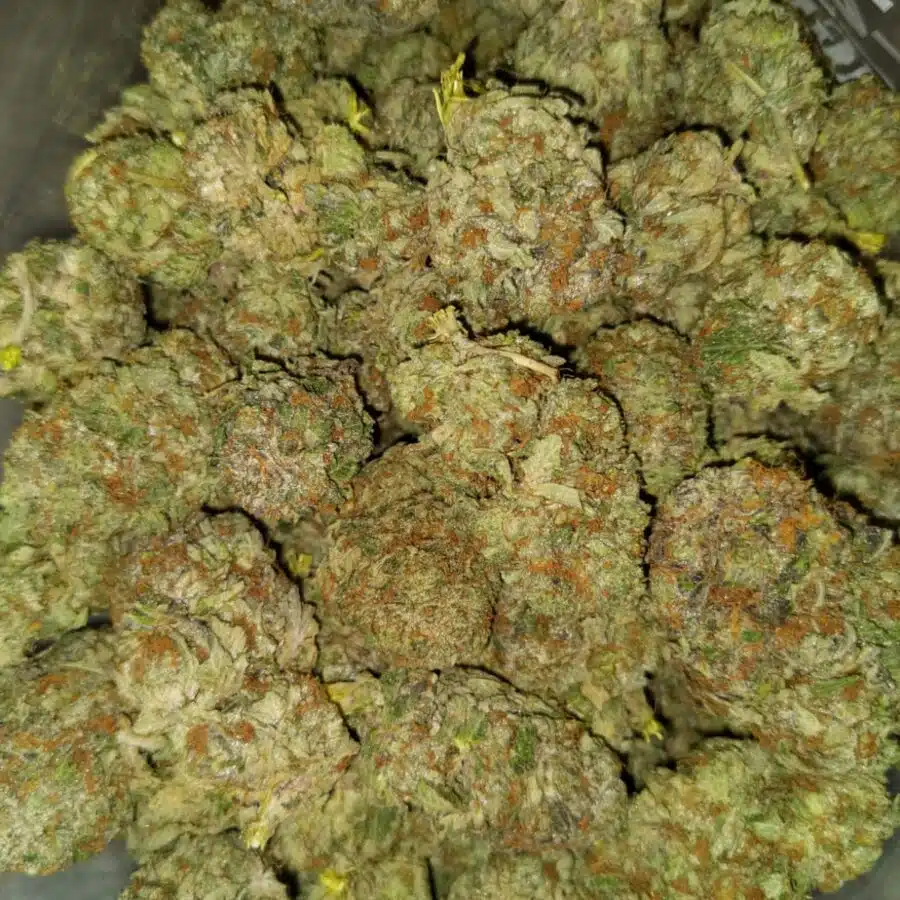 Mku3 I $109 Oz - MK Ultra