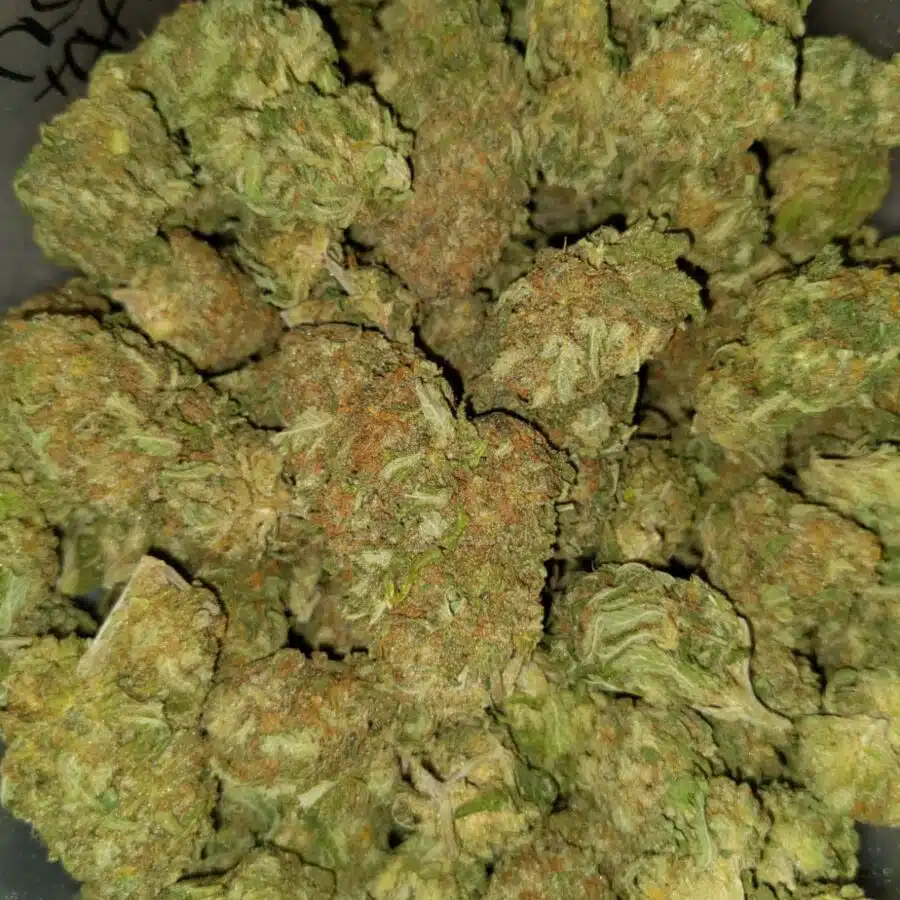 Nuken aa2 1 I $69 Oz - Nuken AAA