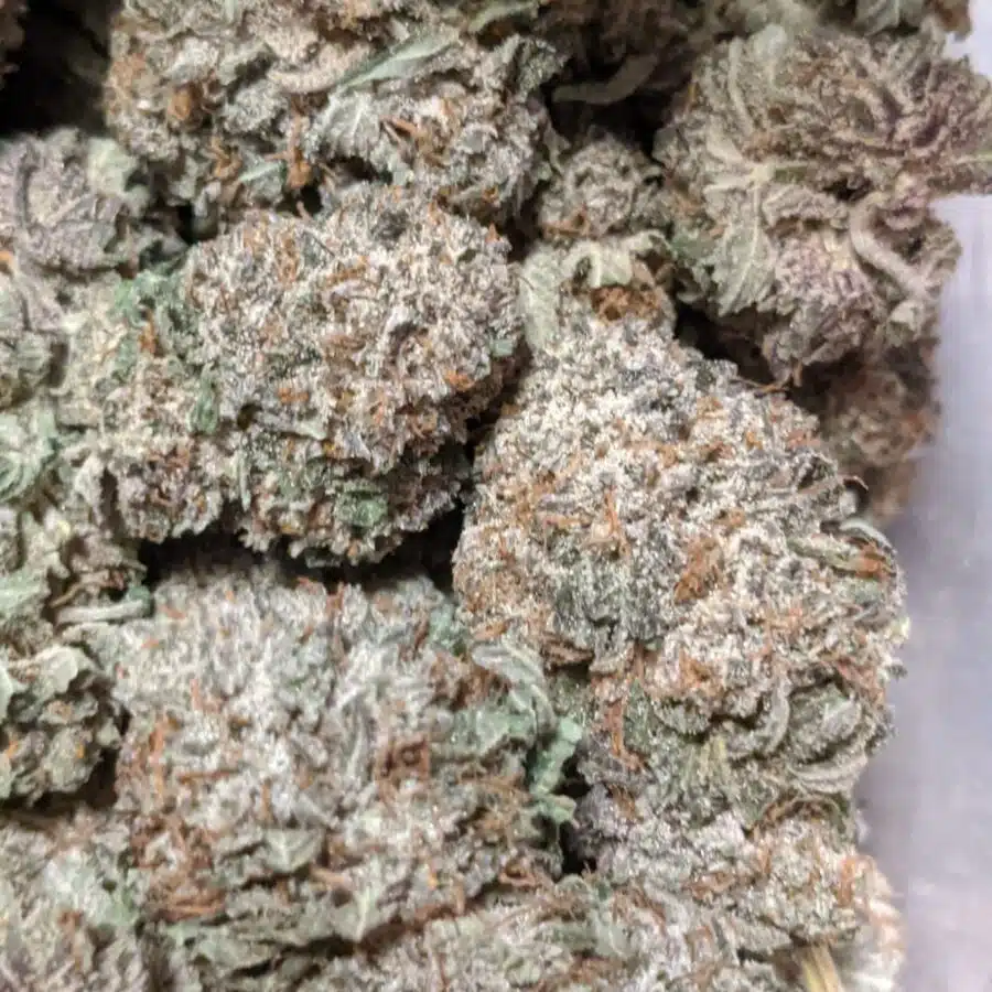 PURPLE KUSH 2 1 I $99 Oz - Purple Kush