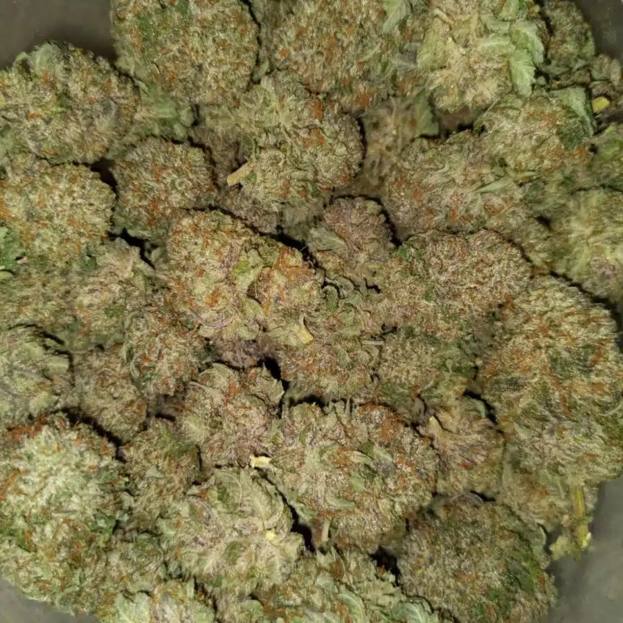 PURPLE KUSH 3 1 I $99 Oz - Purple Kush