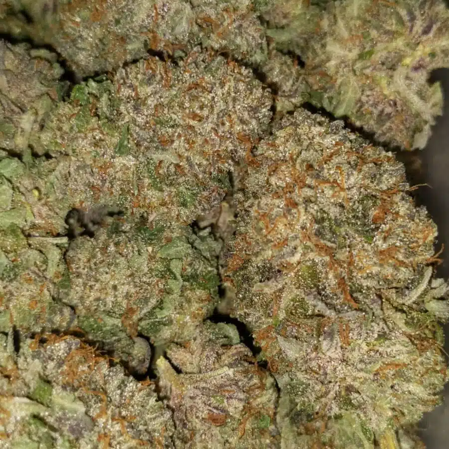 PURPLE KUSH 4 1 I $99 Oz - Purple Kush