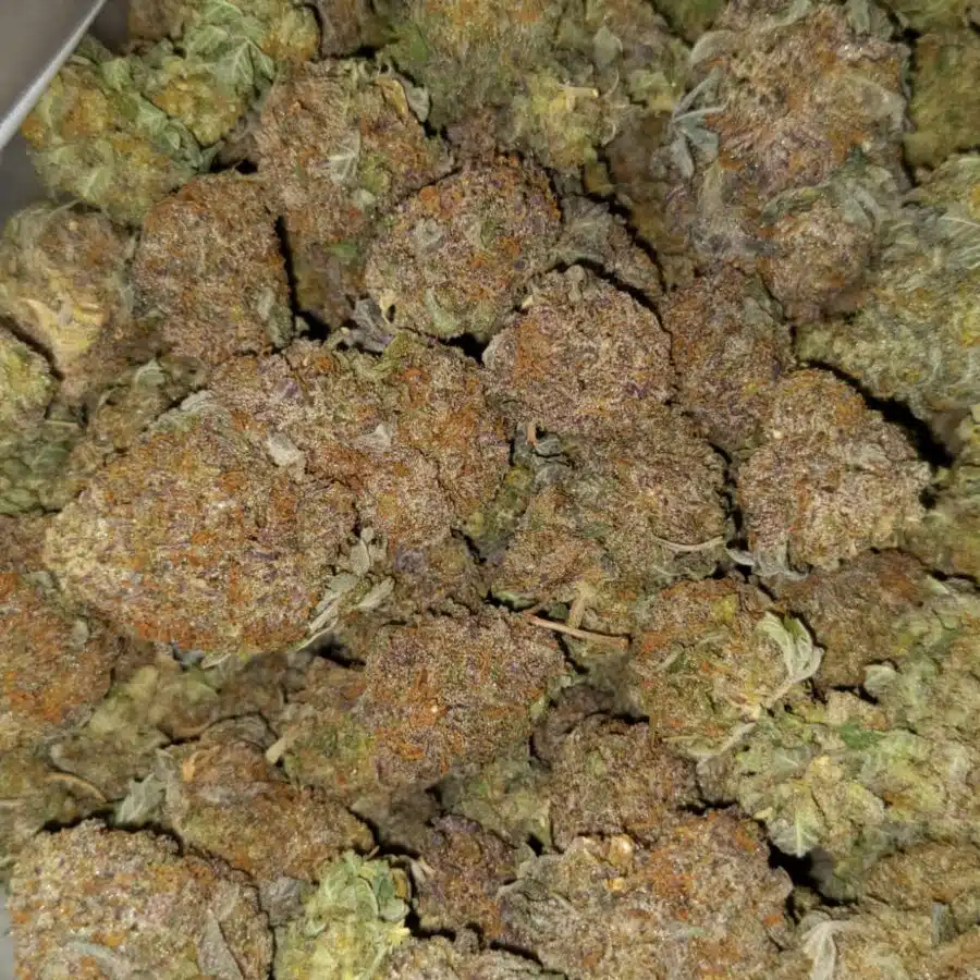 Purple haze dod2 I $99 Oz - Cheap Purple Haze