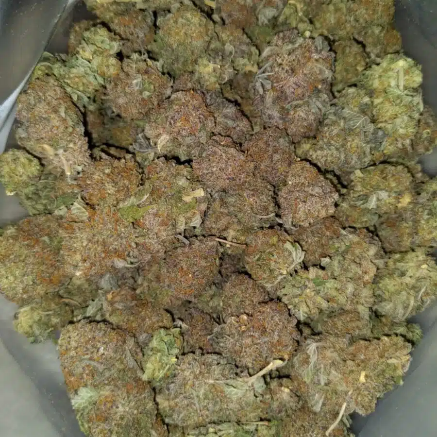 Purple haze dod3 I $99 Oz - Cheap Purple Haze