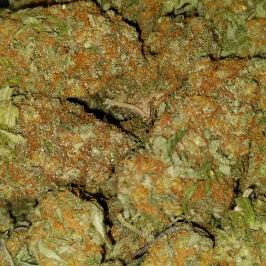 Tony pineapple Express1 I $89 Oz - Tony's Pineapple Express