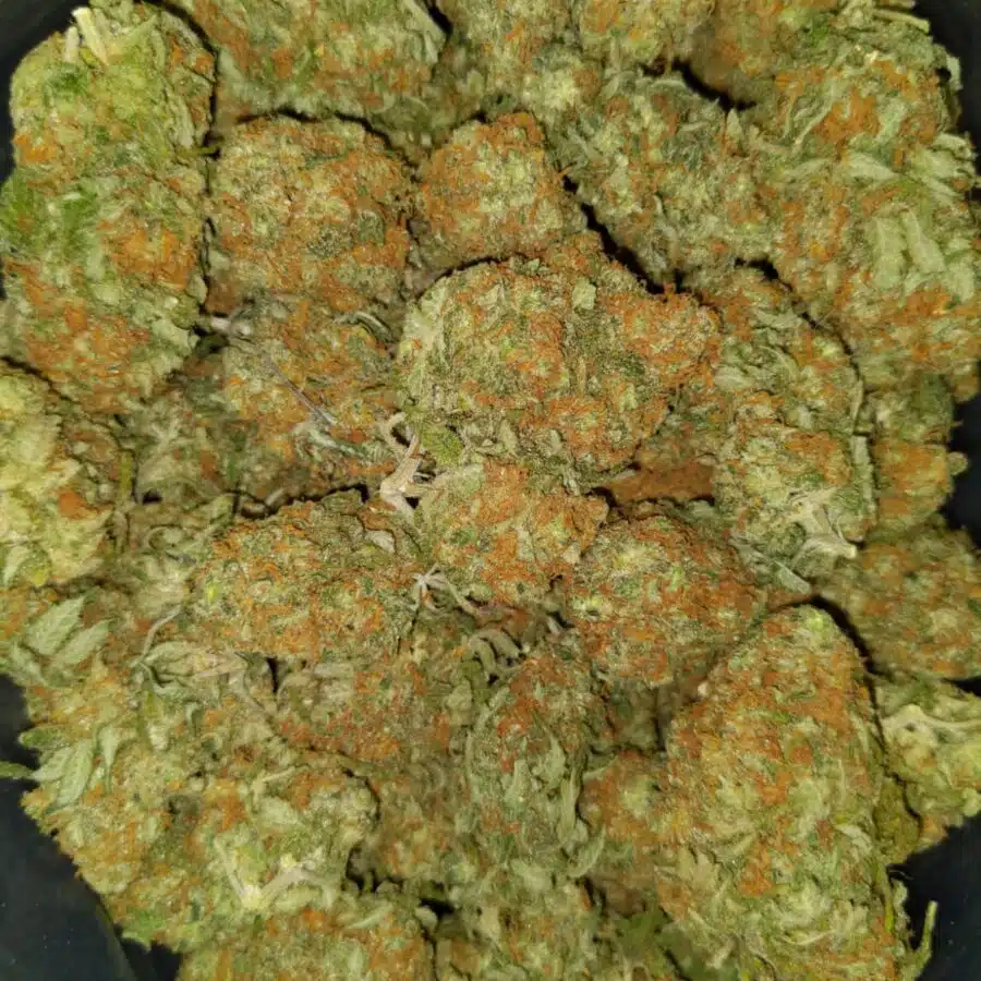 Tony pineapple Express3 I $89 Oz - Tony's Pineapple Express