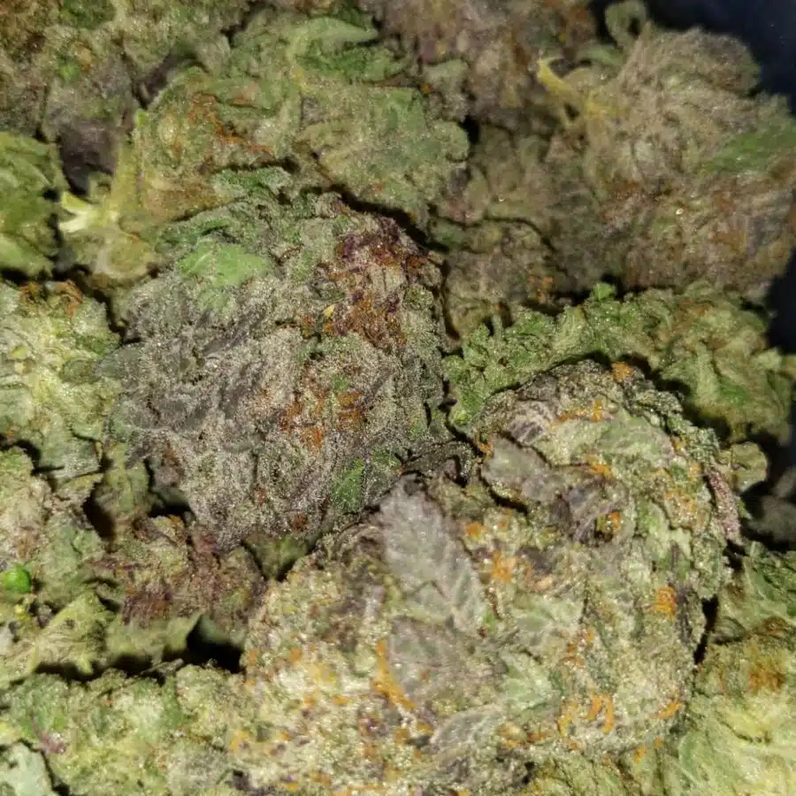 Tony purple kush1 I $79 Oz - Tony's Purple Kush